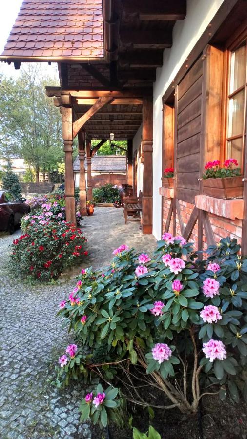 Pensjonat U Garncarza Polnica Dış mekan fotoğraf